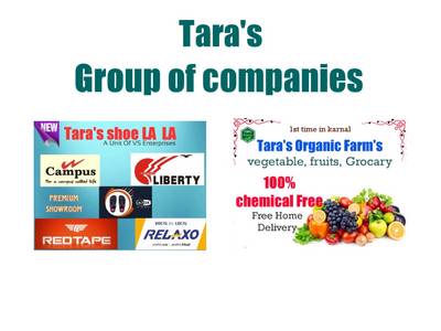 You are currently viewing TARA’S  Group of Companies